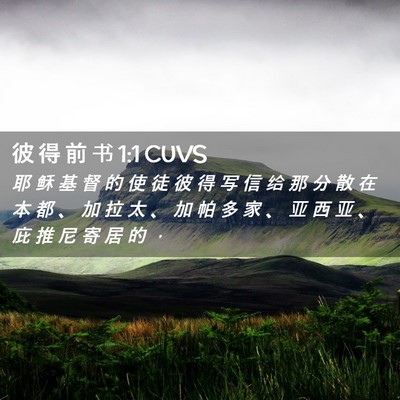 Picture 02 - 彼 得 前 书 1:1 CUVS - 耶 稣 基 督 的 使 徒 彼 得 写 信 给 - Bible Verse Picture