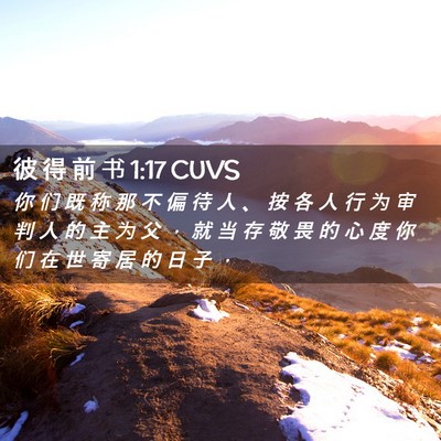 Picture 02 - 彼 得 前 书 1:17 CUVS - 你 们 既 称 那 不 偏 待 人 、 按 各 - Bible Verse Picture
