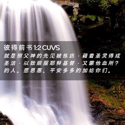 Picture 02 - 彼 得 前 书 1:2 CUVS - 就 是 照 父 神 的 先 见 被 拣 选 ， - Bible Verse Picture