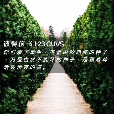 Picture 02 - 彼 得 前 书 1:23 CUVS - 你 们 蒙 了 重 生 ， 不 是 由 於 能 - Bible Verse Picture