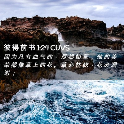 Picture 02 - 彼 得 前 书 1:24 CUVS - 因 为 凡 有 血 气 的 ， 尽 都 如 草 - Bible Verse Picture