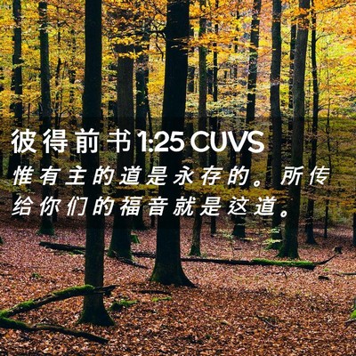 Picture 02 - 彼 得 前 书 1:25 CUVS - 惟 有 主 的 道 是 永 存 的 。 所 传 - Bible Verse Picture