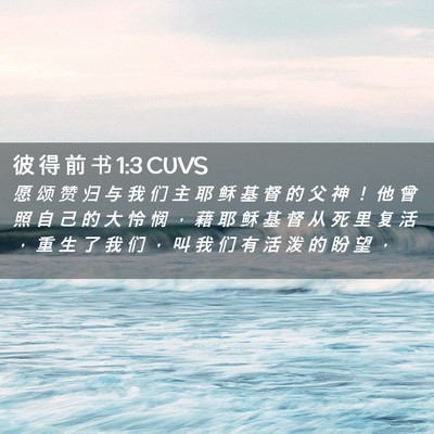 Picture 02 - 彼 得 前 书 1:3 CUVS - 愿 颂 赞 归 与 我 们 主 耶 稣 基 督 - Bible Verse Picture
