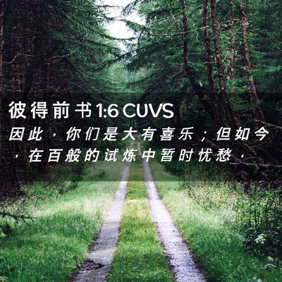 Picture 02 - 彼 得 前 书 1:6 CUVS - 因 此 ， 你 们 是 大 有 喜 乐 ； 但 - Bible Verse Picture