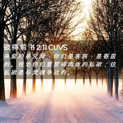 Picture 02 - 彼 得 前 书 2:11 CUVS - 亲 爱 的 弟 兄 阿 ， 你 们 是 客 旅 - Bible Verse Picture