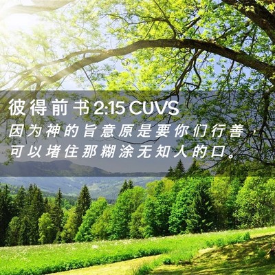 Picture 02 - 彼 得 前 书 2:15 CUVS - 因 为 神 的 旨 意 原 是 要 你 们 行 - Bible Verse Picture