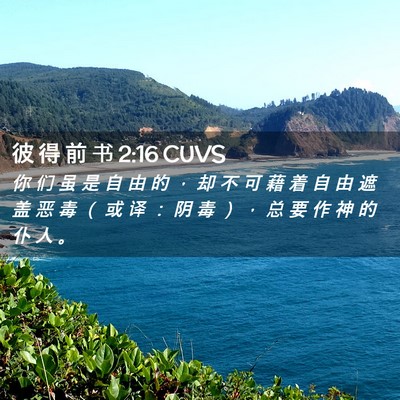 Picture 02 - 彼 得 前 书 2:16 CUVS - 你 们 虽 是 自 由 的 ， 却 不 可 藉 - Bible Verse Picture