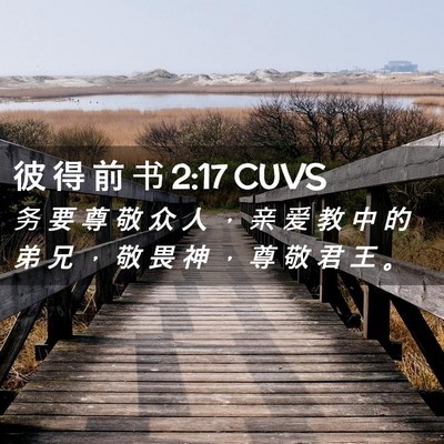 Picture 02 - 彼 得 前 书 2:17 CUVS - 务 要 尊 敬 众 人 ， 亲 爱 教 中 的 - Bible Verse Picture