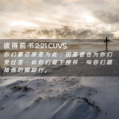 Picture 02 - 彼 得 前 书 2:21 CUVS - 你 们 蒙 召 原 是 为 此 ； 因 基 督 - Bible Verse Picture