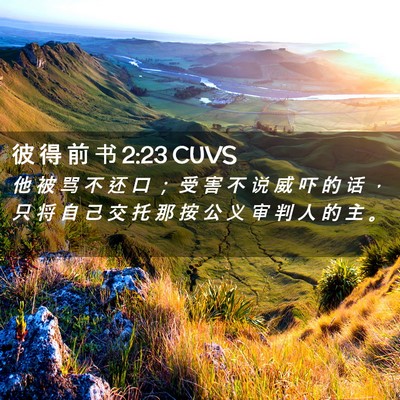 Picture 02 - 彼 得 前 书 2:23 CUVS - 他 被 骂 不 还 口 ； 受 害 不 说 威 - Bible Verse Picture