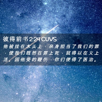 Picture 02 - 彼 得 前 书 2:24 CUVS - 他 被 挂 在 木 头 上 ， 亲 身 担 当 - Bible Verse Picture