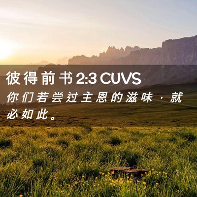 Picture 02 - 彼 得 前 书 2:3 CUVS - 你 们 若 尝 过 主 恩 的 滋 味 ， 就 - Bible Verse Picture