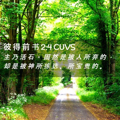 Picture 02 - 彼 得 前 书 2:4 CUVS - 主 乃 活 石 ， 固 然 是 被 人 所 弃 - Bible Verse Picture