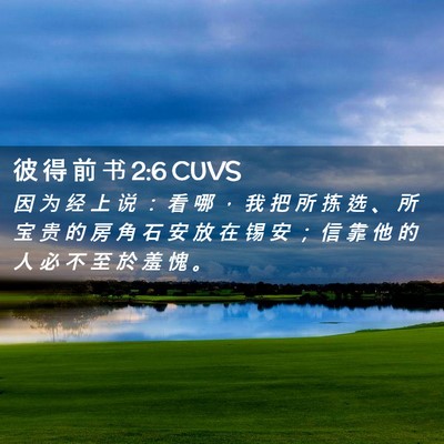 Picture 02 - 彼 得 前 书 2:6 CUVS - 因 为 经 上 说 ： 看 哪 ， 我 把 所 - Bible Verse Picture