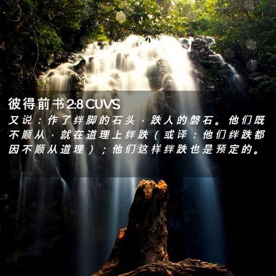 Picture 02 - 彼 得 前 书 2:8 CUVS - 又 说 ： 作 了 绊 脚 的 石 头 ， 跌 - Bible Verse Picture