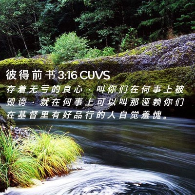 Picture 02 - 彼 得 前 书 3:16 CUVS - 存 着 无 亏 的 良 心 ， 叫 你 们 在 - Bible Verse Picture