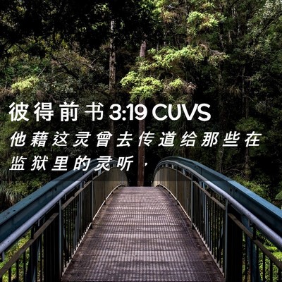 Picture 02 - 彼 得 前 书 3:19 CUVS - 他 藉 这 灵 曾 去 传 道 给 那 些 在 - Bible Verse Picture