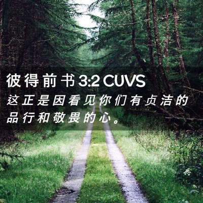 Picture 02 - 彼 得 前 书 3:2 CUVS - 这 正 是 因 看 见 你 们 有 贞 洁 的 - Bible Verse Picture
