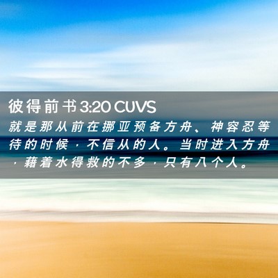 Picture 02 - 彼 得 前 书 3:20 CUVS - 就 是 那 从 前 在 挪 亚 预 备 方 舟 - Bible Verse Picture