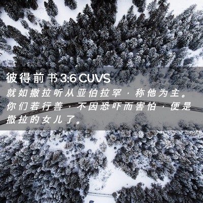 Picture 02 - 彼 得 前 书 3:6 CUVS - 就 如 撒 拉 听 从 亚 伯 拉 罕 ， 称 - Bible Verse Picture