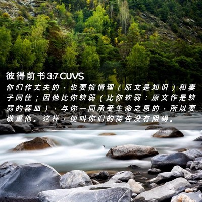 Picture 02 - 彼 得 前 书 3:7 CUVS - 你 们 作 丈 夫 的 ， 也 要 按 情 理 - Bible Verse Picture
