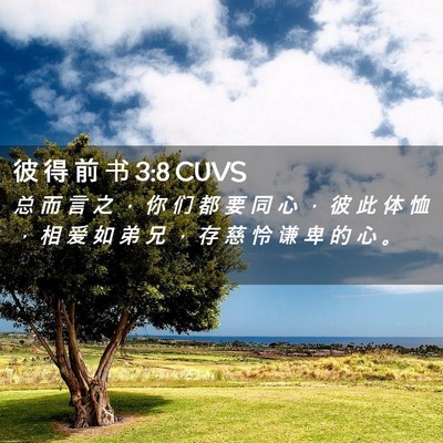 Picture 02 - 彼 得 前 书 3:8 CUVS - 总 而 言 之 ， 你 们 都 要 同 心 ， - Bible Verse Picture