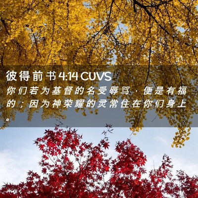 Picture 02 - 彼 得 前 书 4:14 CUVS - 你 们 若 为 基 督 的 名 受 辱 骂 ， - Bible Verse Picture