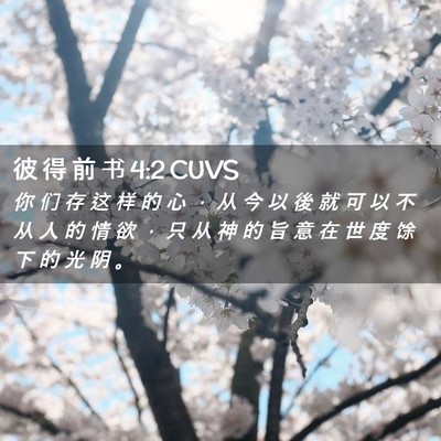 Picture 02 - 彼 得 前 书 4:2 CUVS - 你 们 存 这 样 的 心 ， 从 今 以 後 - Bible Verse Picture