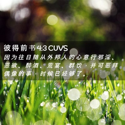 Picture 02 - 彼 得 前 书 4:3 CUVS - 因 为 往 日 随 从 外 邦 人 的 心 意 - Bible Verse Picture