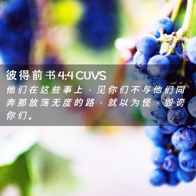 Picture 02 - 彼 得 前 书 4:4 CUVS - 他 们 在 这 些 事 上 ， 见 你 们 不 - Bible Verse Picture