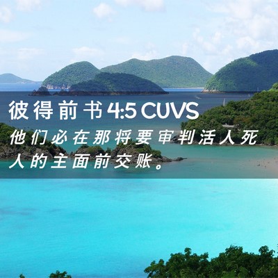 Picture 02 - 彼 得 前 书 4:5 CUVS - 他 们 必 在 那 将 要 审 判 活 人 死 - Bible Verse Picture