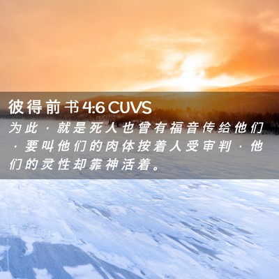 Picture 02 - 彼 得 前 书 4:6 CUVS - 为 此 ， 就 是 死 人 也 曾 有 福 音 - Bible Verse Picture