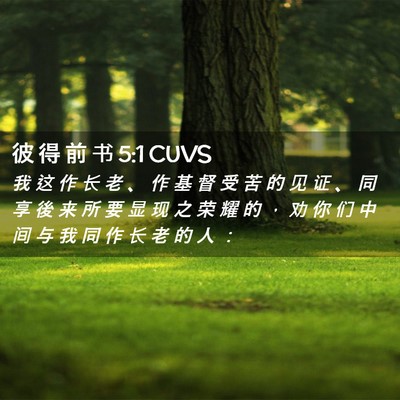 Picture 02 - 彼 得 前 书 5:1 CUVS - 我 这 作 长 老 、 作 基 督 受 苦 的 - Bible Verse Picture