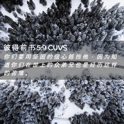 Picture 02 - 彼 得 前 书 5:9 CUVS - 你 们 要 用 坚 固 的 信 心 抵 挡 他 - Bible Verse Picture