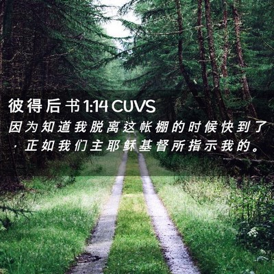 Picture 02 - 彼 得 后 书 1:14 CUVS - 因 为 知 道 我 脱 离 这 帐 棚 的 时 - Bible Verse Picture