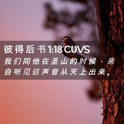 Picture 02 - 彼 得 后 书 1:18 CUVS - 我 们 同 他 在 圣 山 的 时 候 ， 亲 - Bible Verse Picture
