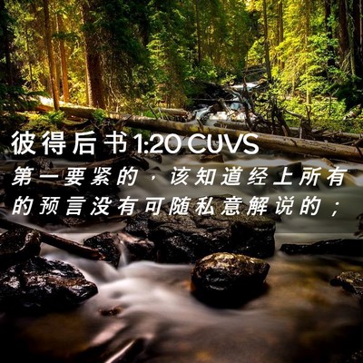 Picture 02 - 彼 得 后 书 1:20 CUVS - 第 一 要 紧 的 ， 该 知 道 经 上 所 - Bible Verse Picture