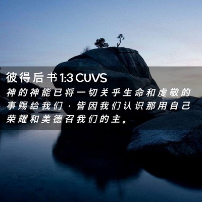 Picture 02 - 彼 得 后 书 1:3 CUVS - 神 的 神 能 已 将 一 切 关 乎 生 命 - Bible Verse Picture