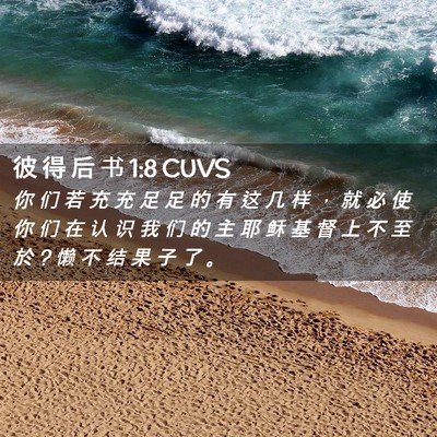 Picture 02 - 彼 得 后 书 1:8 CUVS - 你 们 若 充 充 足 足 的 有 这 几 样 - Bible Verse Picture