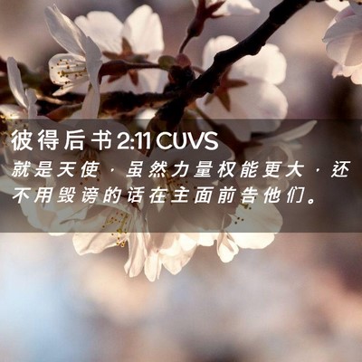 Picture 02 - 彼 得 后 书 2:11 CUVS - 就 是 天 使 ， 虽 然 力 量 权 能 更 - Bible Verse Picture
