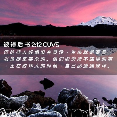 Picture 02 - 彼 得 后 书 2:12 CUVS - 但 这 些 人 好 像 没 有 灵 性 ， 生 - Bible Verse Picture