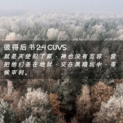 Picture 02 - 彼 得 后 书 2:4 CUVS - 就 是 天 使 犯 了 罪 ， 神 也 没 有 - Bible Verse Picture