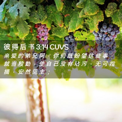 Picture 02 - 彼 得 后 书 3:14 CUVS - 亲 爱 的 弟 兄 阿 ， 你 们 既 盼 望 - Bible Verse Picture
