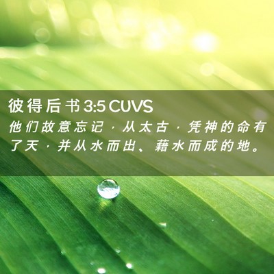 Picture 02 - 彼 得 后 书 3:5 CUVS - 他 们 故 意 忘 记 ， 从 太 古 ， 凭 - Bible Verse Picture