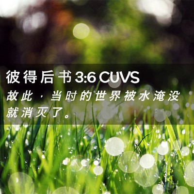 Picture 02 - 彼 得 后 书 3:6 CUVS - 故 此 ， 当 时 的 世 界 被 水 淹 没 - Bible Verse Picture