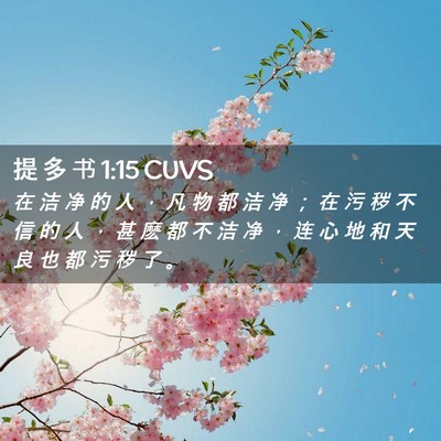 Picture 02 - 提 多 书 1:15 CUVS - 在 洁 净 的 人 ， 凡 物 都 洁 净 ； - Bible Verse Picture