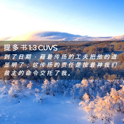 Picture 02 - 提 多 书 1:3 CUVS - 到 了 日 期 ， 藉 着 传 扬 的 工 夫 - Bible Verse Picture