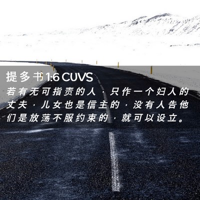 Picture 02 - 提 多 书 1:6 CUVS - 若 有 无 可 指 责 的 人 ， 只 作 一 - Bible Verse Picture