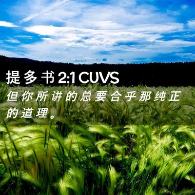 Picture 02 - 提 多 书 2:1 CUVS - 但 你 所 讲 的 总 要 合 乎 那 纯 正 - Bible Verse Picture