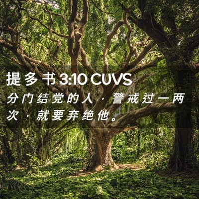 Picture 02 - 提 多 书 3:10 CUVS - 分 门 结 党 的 人 ， 警 戒 过 一 两 - Bible Verse Picture